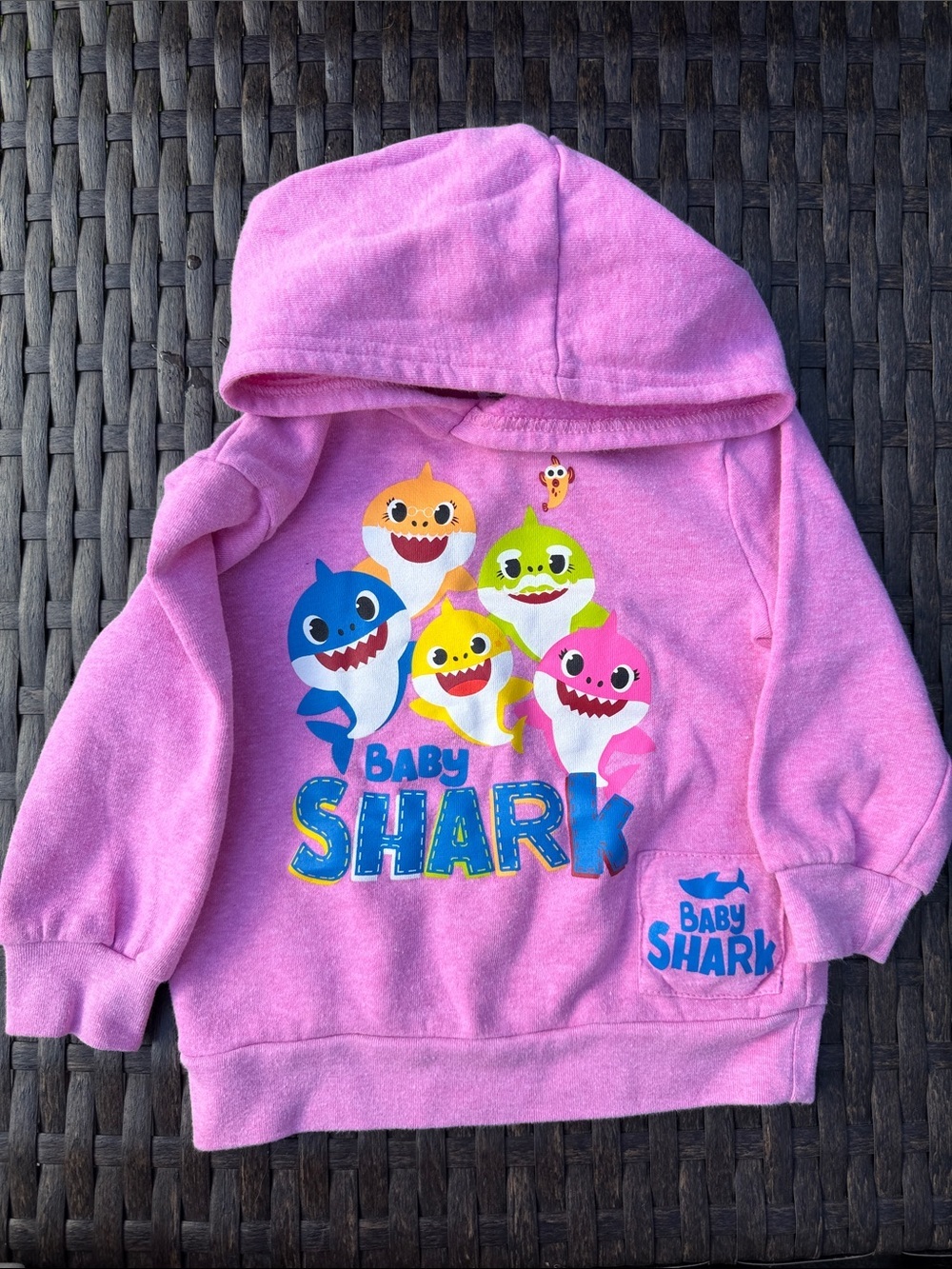 NWOT Nickelodeon Baby Shark Hooded Sweatshirt
